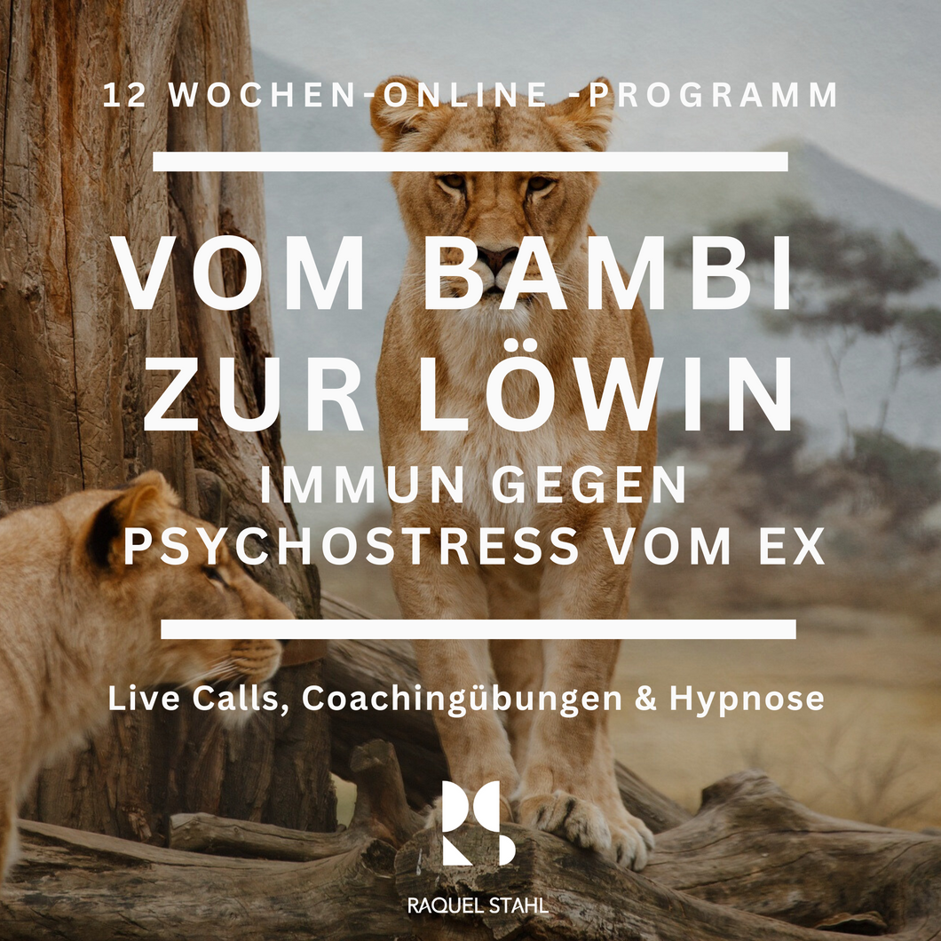 Das Löwinnen Programm: Vom Bambi zur Löwin - Immun gegen Psychostress vom Ex, Start August 2024