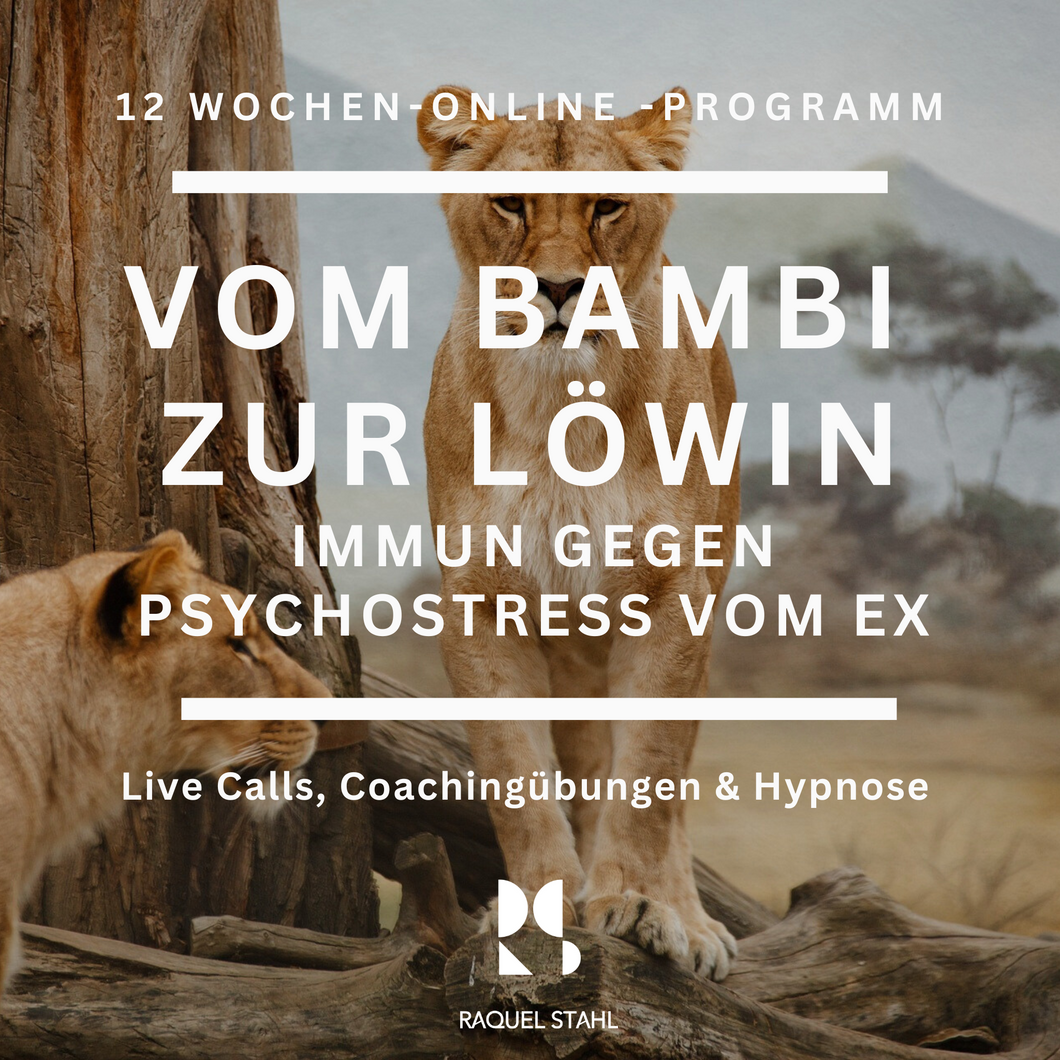 Das Löwinnen Programm: Vom Bambi zur Löwin - Immun gegen Psychostress vom Ex, Start Januar 2025